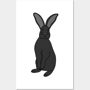 Black Bunny Posters and Art